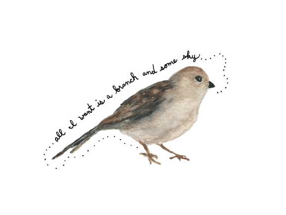 Watercolor sparrow bird illustration 