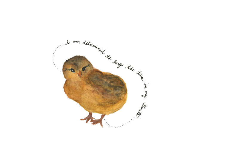 Watercolor baby chick illustration by Meia Geddes 