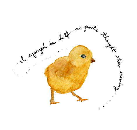 Watercolor baby chick illustration by Meia Geddes 