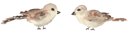 Watercolor illustration by Meia of two sparrow birds facing each other