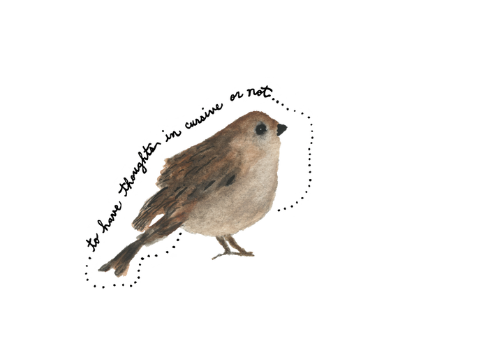 Watercolor sparrow bird illustration by Meia Geddes 